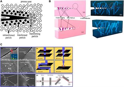 Ceramic Toughening Strategies for Biomedical Applications